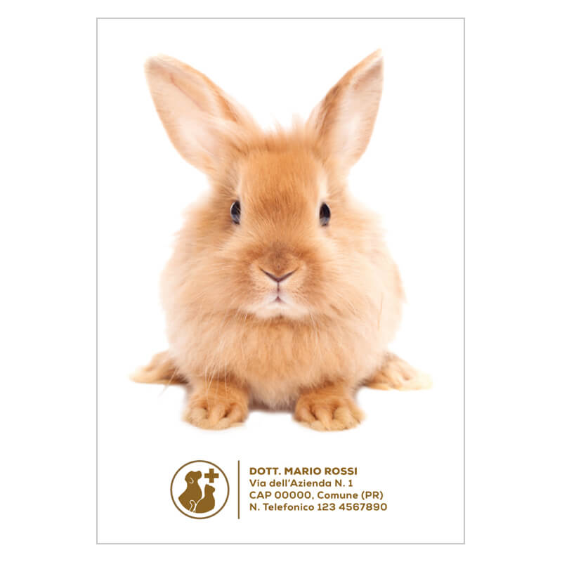 libretto sanitario veterinario coniglio copertrina