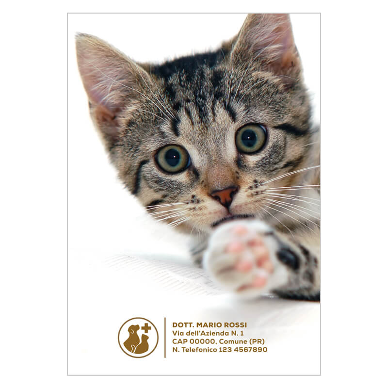 libretto sanitario veterinario gatto anteprima