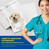 Labrador_retriever_giallo